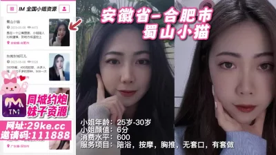 孟凡蜀山剑阁守剑